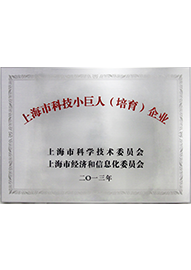 上海科技小巨人培育企業(yè)